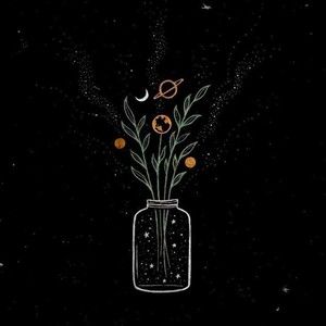 Meet your Posher, Meredith